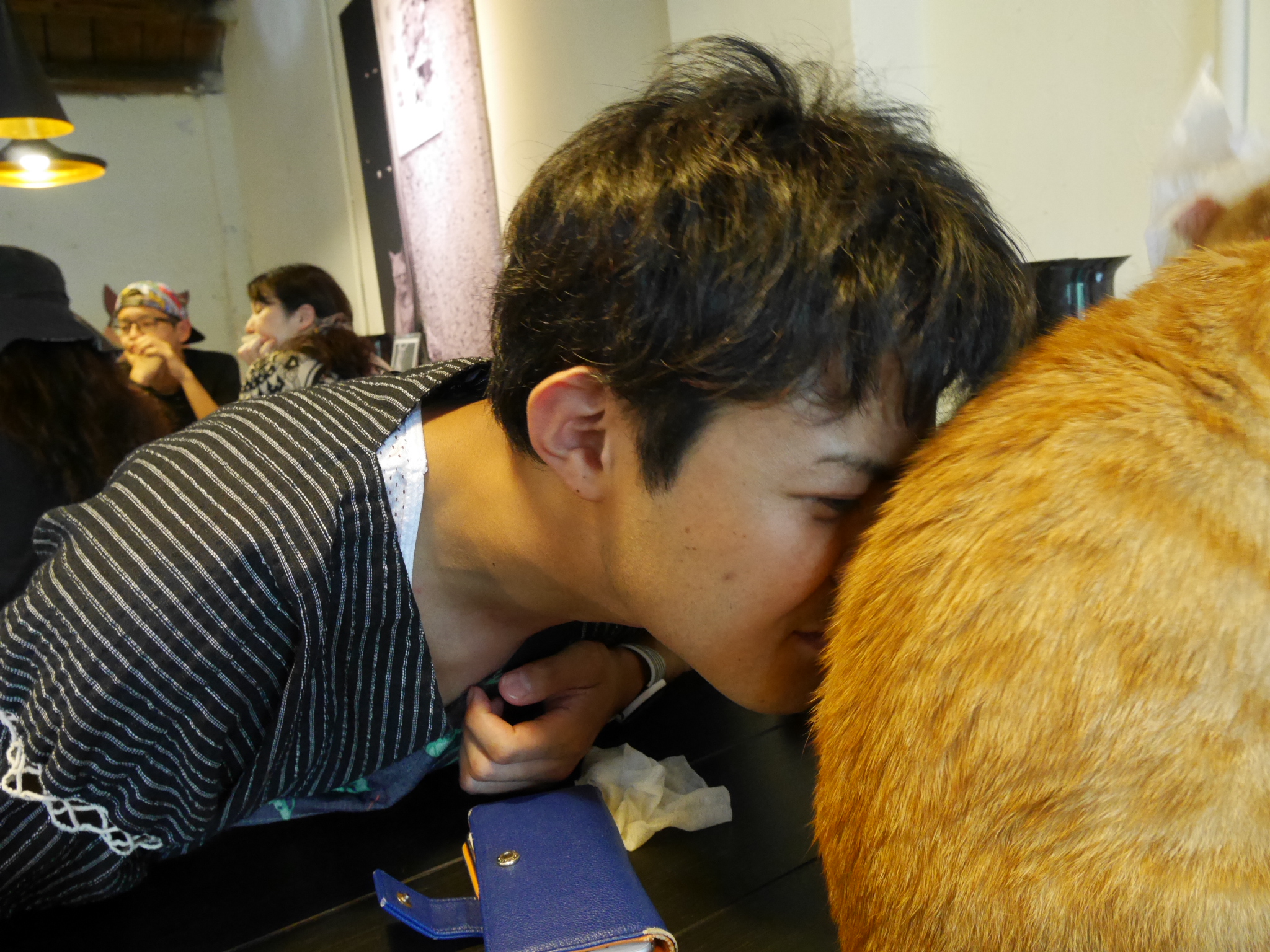 猫村 ホウトン